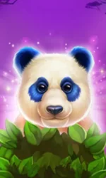 Luck of Panda: Bonus Combo